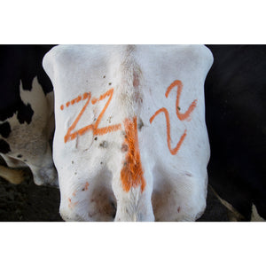 PAINTSTIK Livestock Marker
