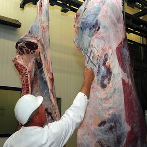 MEAT MARKER - Pack of 12